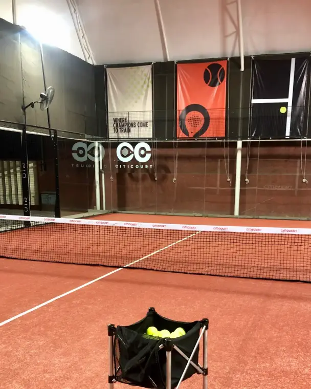 Ball basket on court